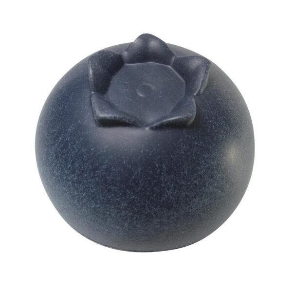 Delicious Blueberry Stress Ball - 图片 5