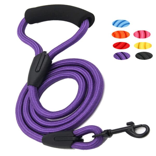 Reflective Dog Collar and Leash Set - 图片 5