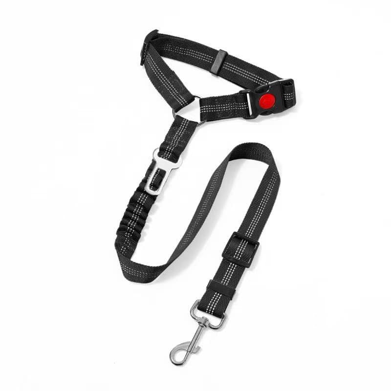 Custom Reflective Leash Durable Dog Collar - 图片 5