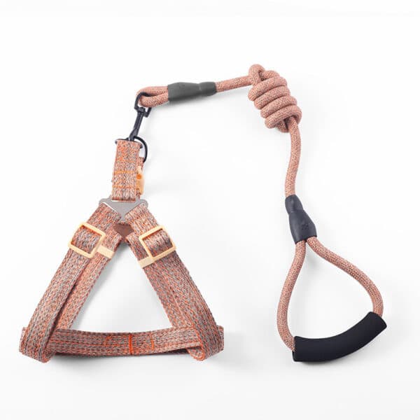 Bite-Resistant Dog Leash Set - 图片 5