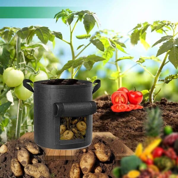 Customized Grow Bag With Flap 4 Gallon - Image 5