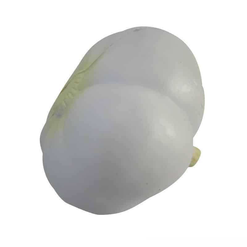 Garlic Stress Ball - 图片 6