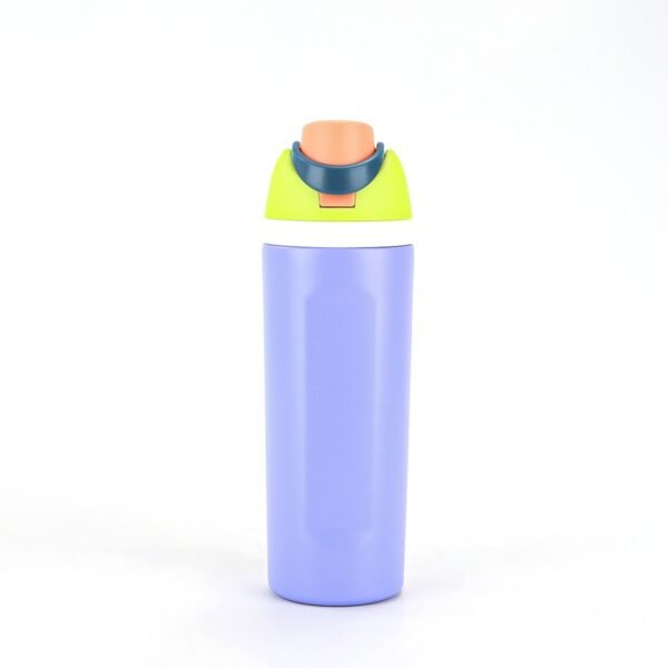 Insulated Stainless Steel Water Bottle - 图片 6