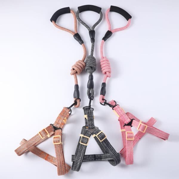 Bite-Resistant Dog Leash Set - 图片 6