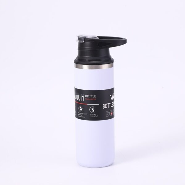 Double Layer Vacuum 304 Stainless Steel Insulated Bottle 17OZ - 图片 6