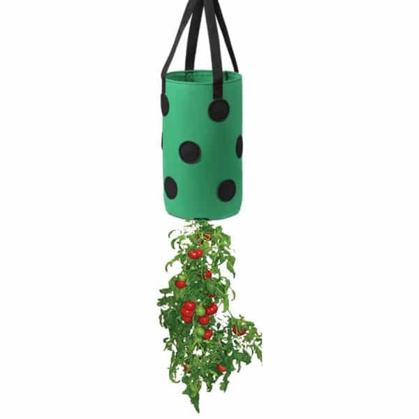 13-hole Hanging Grow Bag with Holes In The Bottom - 图片 7