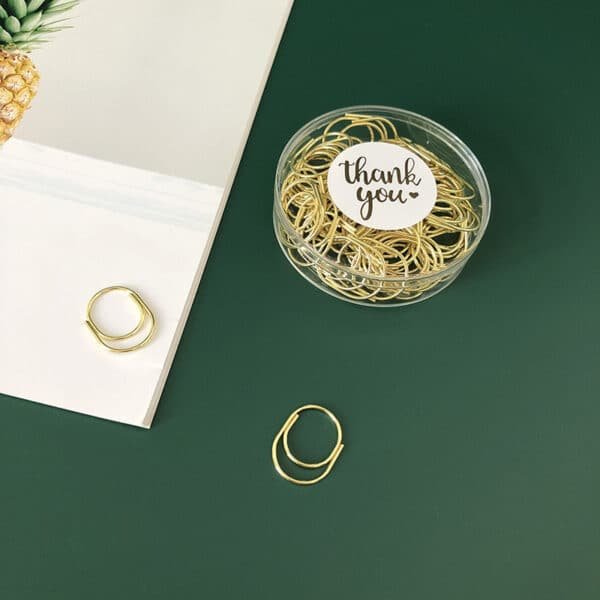 Electroplating Metal Paperclips In A Box - Image 7