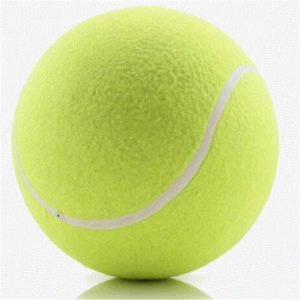 2 -color Pickle Ball - 图片 8